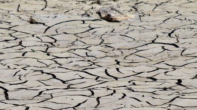 Alerta en Tamaulipas, 36 de los 43 municipios en sequía (Excelsior)