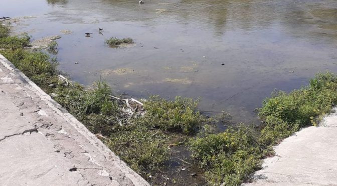 San Luis Potosí: Histórica sequía lleva al río Valles por debajo de su nivel crítico (Quadratin)