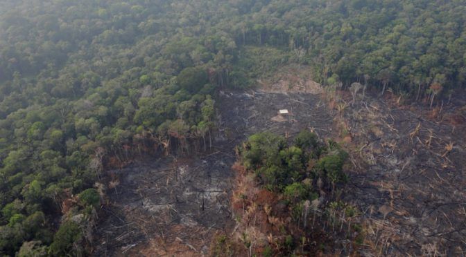 Brasil empieza a combatir incendios de selva amazónica con agua desde aviones militares (24 Horas)