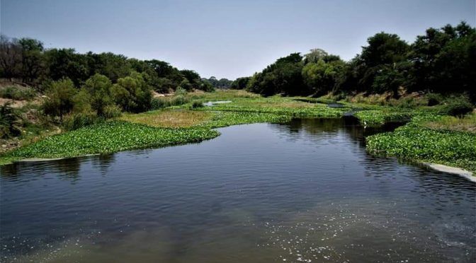 Oaxaca: Buscan sanear el río de Las Nutrias (El Imparcial)