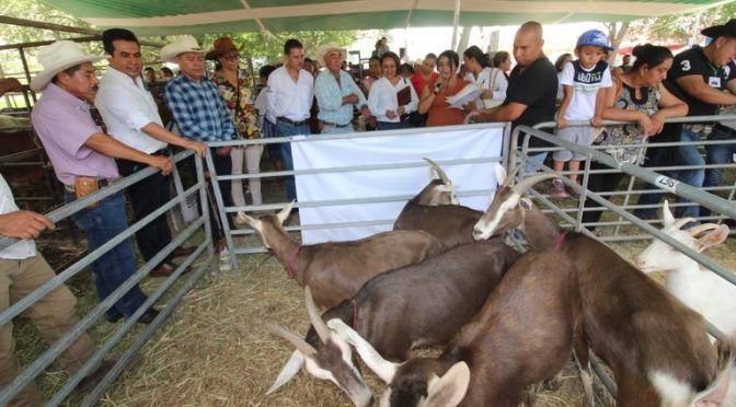 Querétaro: Unión Ganadera dice trasladará agua con pipa (Diario de Querétaro)