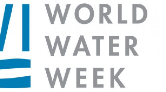 Semana Mundial del Agua (Estocolmo 2019)