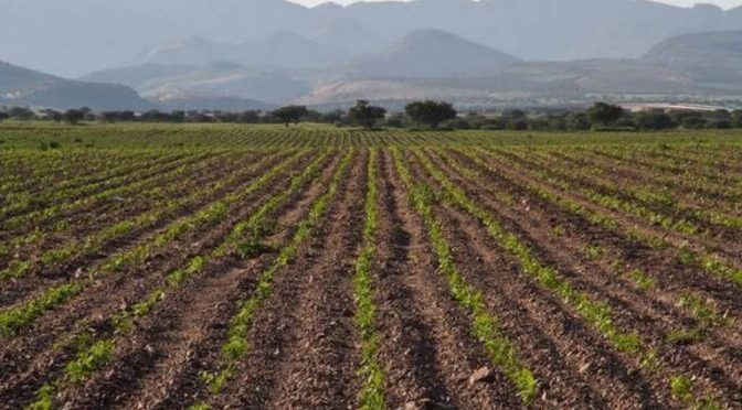 Durango: es más urgente el tema de la sequía (El Sol de Durango)