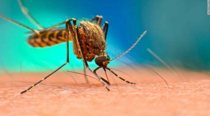 Veracruz: alerta por dengue en Papantla (La Opinión de Poza Rica)