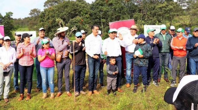 Michoacán: se suma Tribunal de Justicia Administrativa al rescate de acuífero (Quadratín)