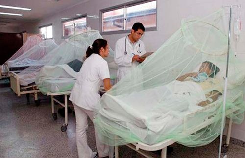 Sube Veracruz a primer lugar nacional en dengue, hay 50 enfermos graves y 236 casos de alarma, revela salud (Plumas Libres)