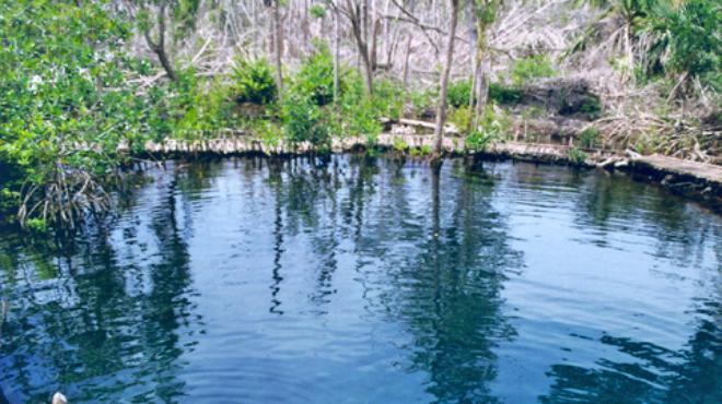 Cenotes salvan a Yucatán de carencia de agua (Unión Yucatán)