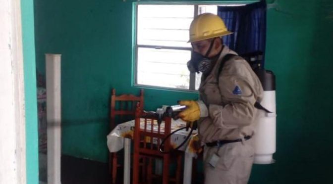 Veracruz: SS combate dengue, zika y chikungunya en San Andrés Tuxtla, Oluta y Hueyapan (La jornada)