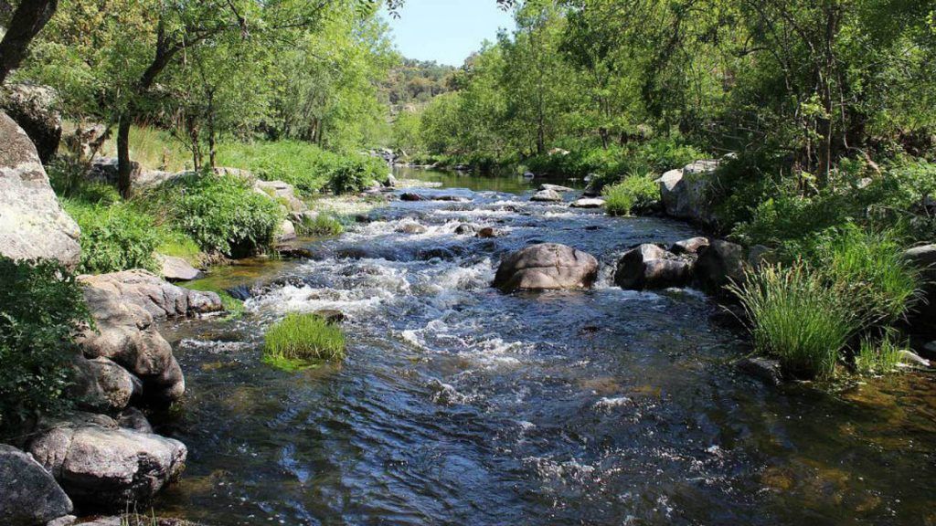 México: Ríos y naturaleza requieren de protección legal y derechos (El ...