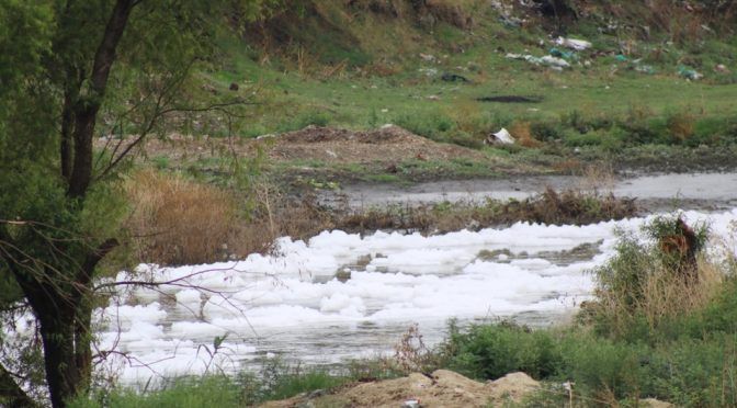 Guanajuato: En Villagrán, el Río Laja presenta gran contaminación (Milenio)