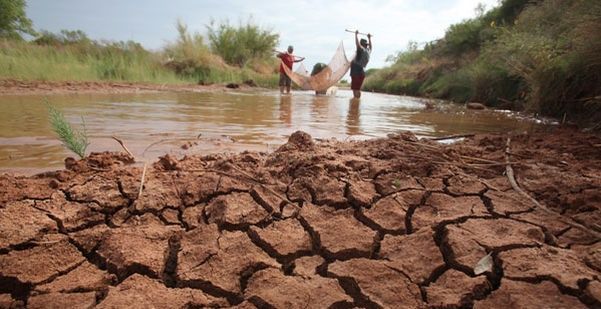 Afecta sequía en 203 municipios de Veracruz (La Opinión de Poza Rica)
