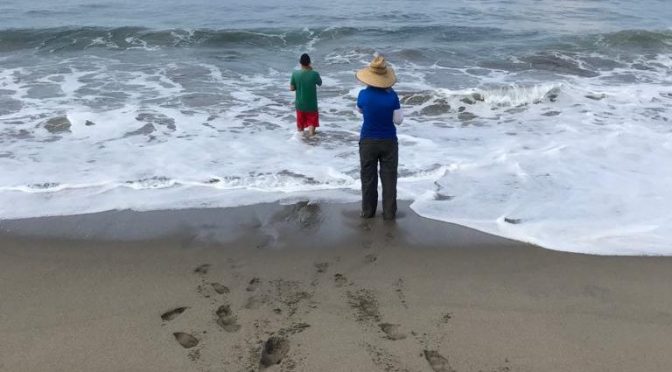 Sinaloa: Buscan certificación como playa limpia de Estrella del Mar y Luna Bonita (Línea Directa)