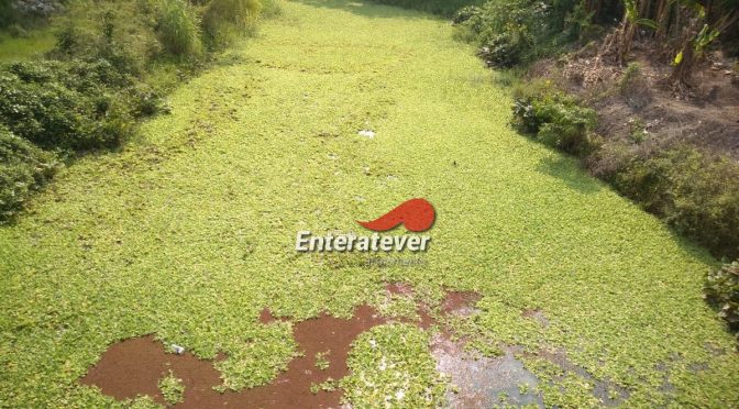 Veracruz: Tiran azufre al arroyo de Poza Verde (Enteratever)