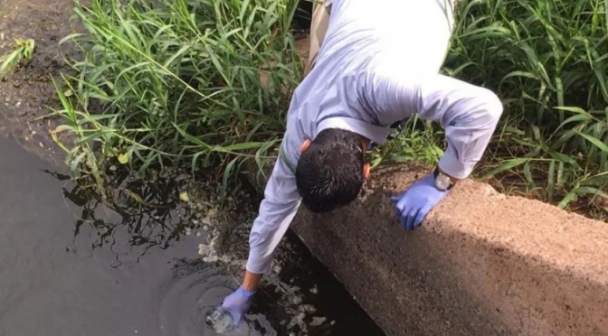 Sonora: Buscan descartar contaminación de agua en Cajeme (Mundo Real)