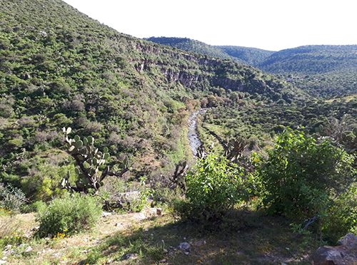 Zacatecas: Proyecto de la presa Milpillas sí tiene recursos para 2020: Samuel Herrera (La Jornada)