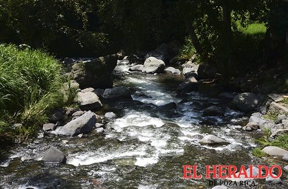 Veracruz: Aguas negras matan los ríos de Xico: Cronista (El Heraldo)