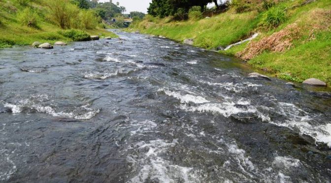 Morelos: Contamina Yecapixtla el río Cuautla (El Sol de Cuautla)