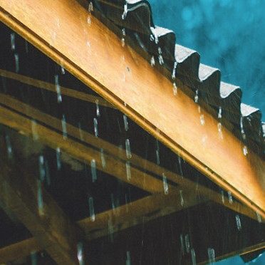 España: La restauración fluvial del paraje de La Nava, en Alfaro, muestra sus primeros beneficios (iAgua)