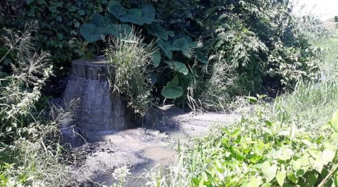 Guerrero: Se agudiza contaminación por aguas residuales en río Atoyac (Quadratin)