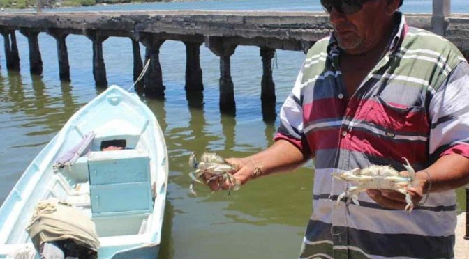 Tamaulipas: Detectan grave contaminación en río Pánuco (El mañana)