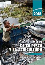 El estado mundial de la pesca y la acuicultura 2018