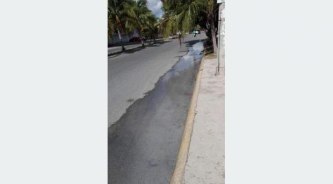 Yucatán: Indigna a cancunenses desperdicio de agua potable (La Verdad)