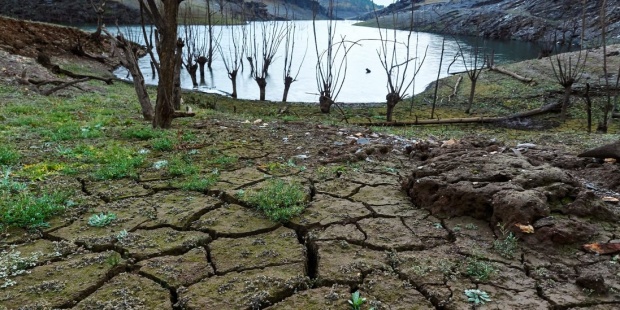 México: Estrés hídrico, un problema que ya sufren 23 estados (Bajo Palabra)