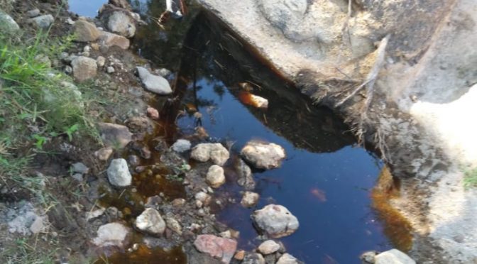 Jalisco: Exigen sanear siete ríos contaminados por basureros (El Diario NTR)