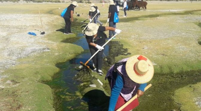 Coca-Cola informa que recuperó el 100% del agua que utilizó con apoyo de comunidades aymara (CNN)