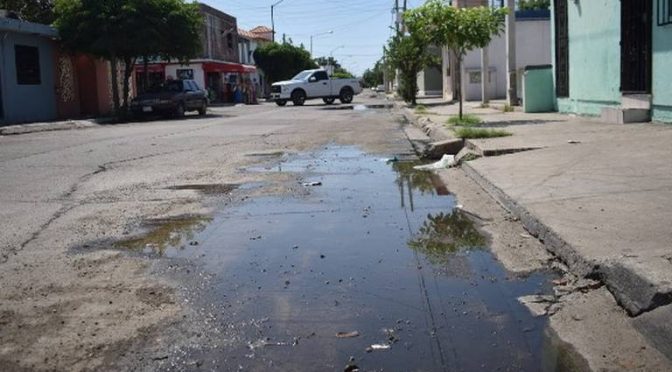 Sinaloa: pestilencia de aguas negras y dengue invaden al Infonavit Playas (El Sol de Mazatlán)