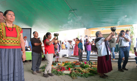 CDMX: ONU-DH aplaude participación de comunidades zapotecas en cuidado del agua en los Valles Centrales (Proceso)