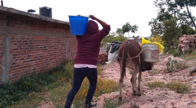 Guanajuato: Sufren en Pocitos de Corrales ante la falta de agua (Periódico Correo)