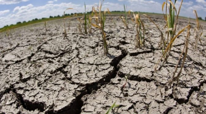 CDMX: 66.6% del territorio sufre sequía. Conagua dio 31% del agua a Femsa, Nestlé, Bachoco, Heineken, Pepsi… (Sin Embargo)