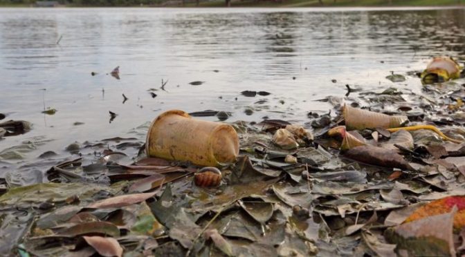 La contaminación en agua dulce pone en riesgo la alimentación, dice la ONU (Expansión)