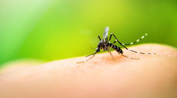 Políticos piden apoyo para combatir dengue (El Universal)