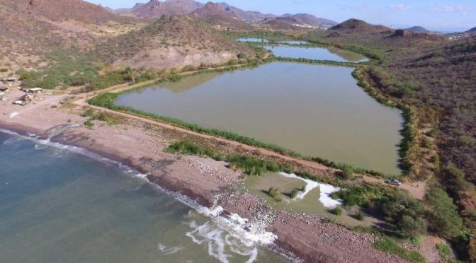 Sonora: Bahía de Guaymas tiene cinco fuentes de contaminación (El Imparcial)