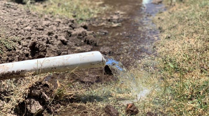 Durango: Ejidatarios sobreviven con agua de lluvia y de abrevadero (Milenio)