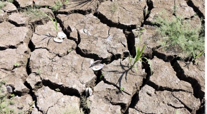 Ciudad de México: Por sequía, limitan agua en 12 estados (El Imparcial)