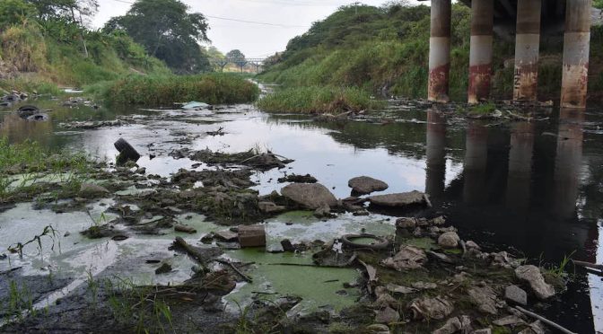 Tabasco: Aguas negras y basura matan al Viejo Mezcalapa (Novedades de Tabasco)