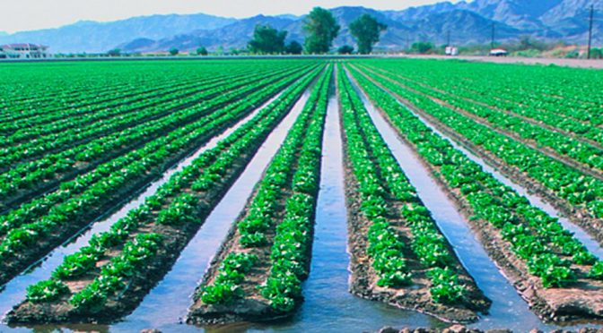 Coahuila: Conagua mejora reglas para programas hidroagrícolas (El Sol de la Laguna)