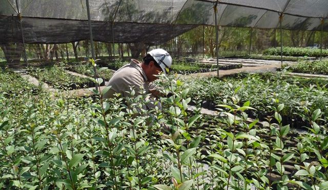 Puebla: Empresa CYCNA de Oriente reporta sus prácticas sustentables en la ONU (desdepuebla.com)