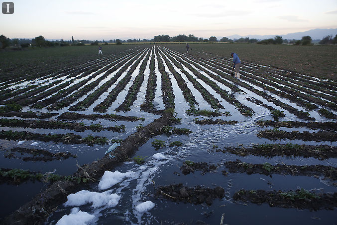 El uso de aguas residuales en la agricultura en México