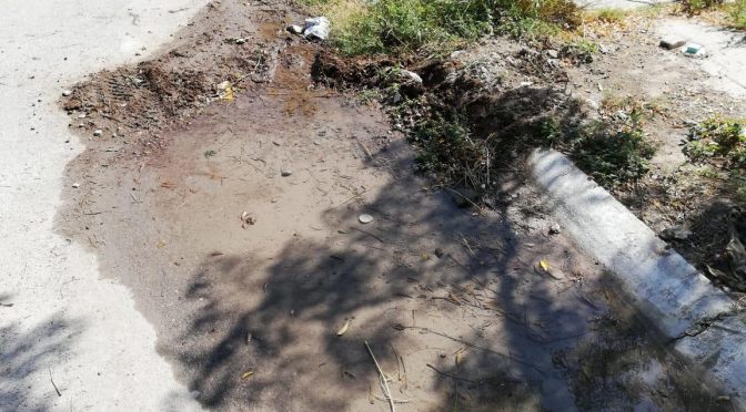 Coahuila: Vecinos de la colonia Villas Universidad Torreón denuncian fuga de agua potable (TeleDiario)