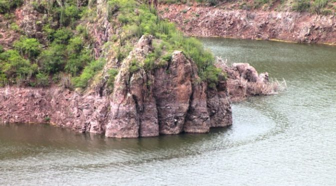 San Luis Potosí: ‘La presa de ‘El Realito’ no ha sido tan funcional como dicen’: CANADEVI (Agencia de Noticias)