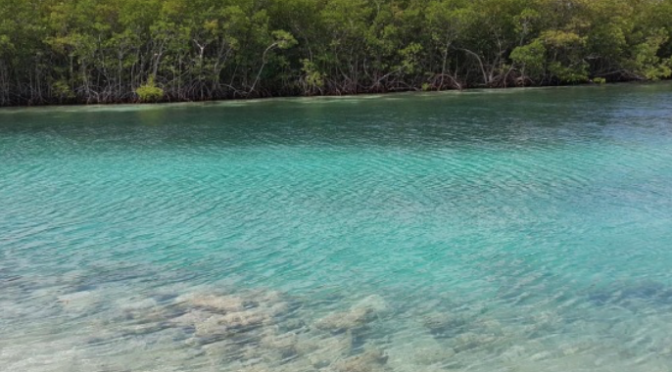 Quintana Roo: Semarnat debe responder a iniciativa sobre toxicidad en el agua: Alejandro López (La Jornada Maya)