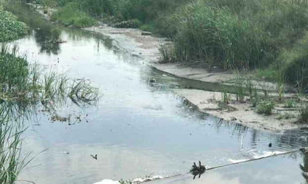 Tamaulipas: Demandan limpiar el dren ´Río Bravo´ (El Mañana)