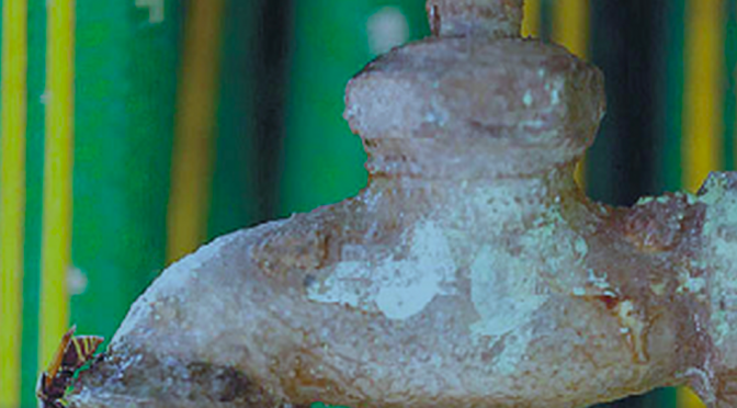 Es Guanajuato modelo en control de pérdidas de agua potable (Milenio)