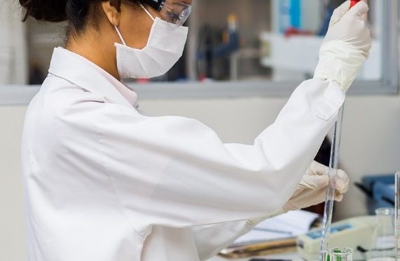 España: Microalgas en aguas residuales de la industria cervecera como fertilizante (Diario de Almería)