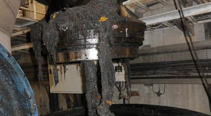 España: Cada año se tiran por los inodoros 390 toneladas de toallitas (La verdad)