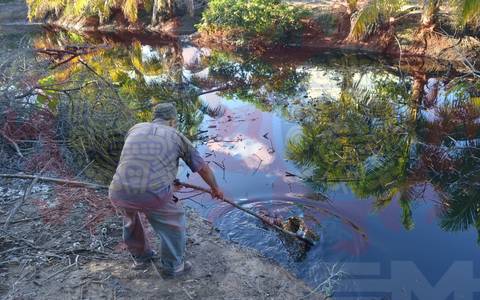 Tabasco: Tragedia ecológica en costas de Paraíso por derrame de combustible (El Sol de México)